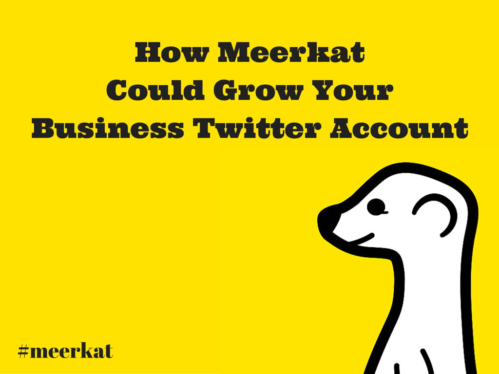 How Meerkat Could Grow Your Business Twitter