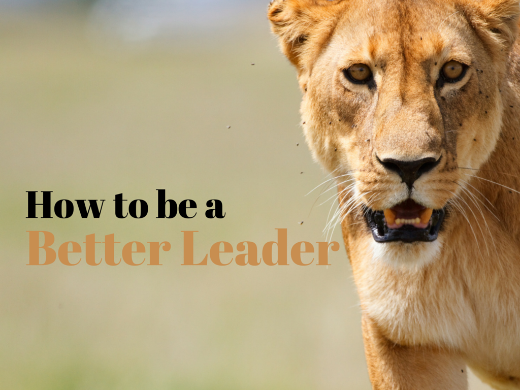 How to be a Better Leader